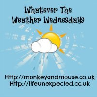 Monkey and Mouse