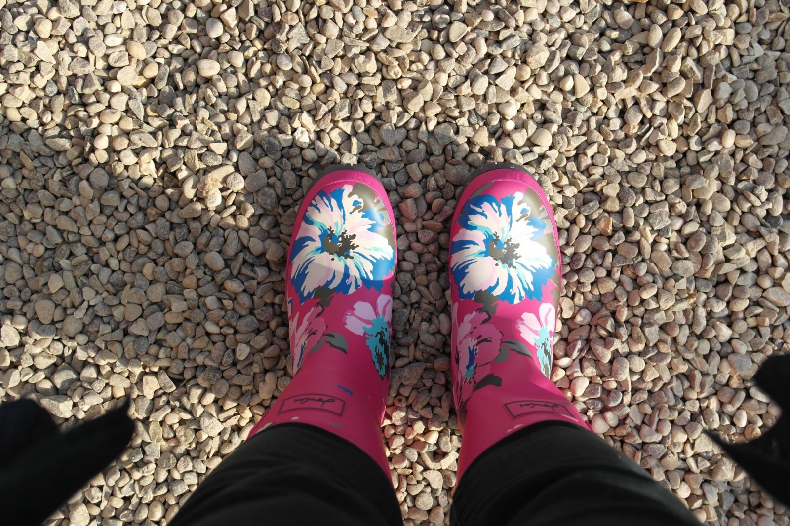 Joules Mollywelly Floral Wellingtons