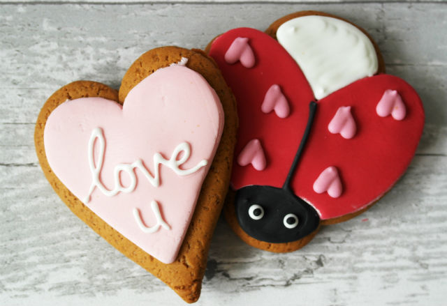 Love Bug Biscuit