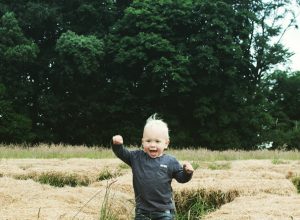 Max Hay Bale Maze 2