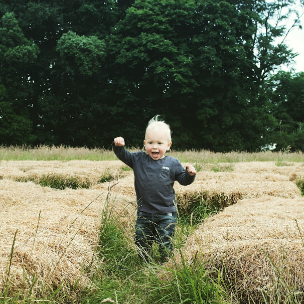 Max Hay Bale Maze 2