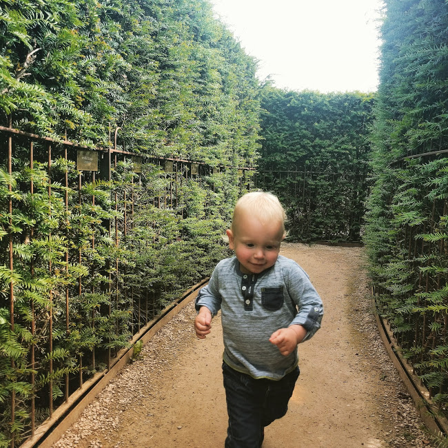 Max running in maze