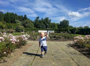 Max running through the rose garden with fountain behind and blue skies