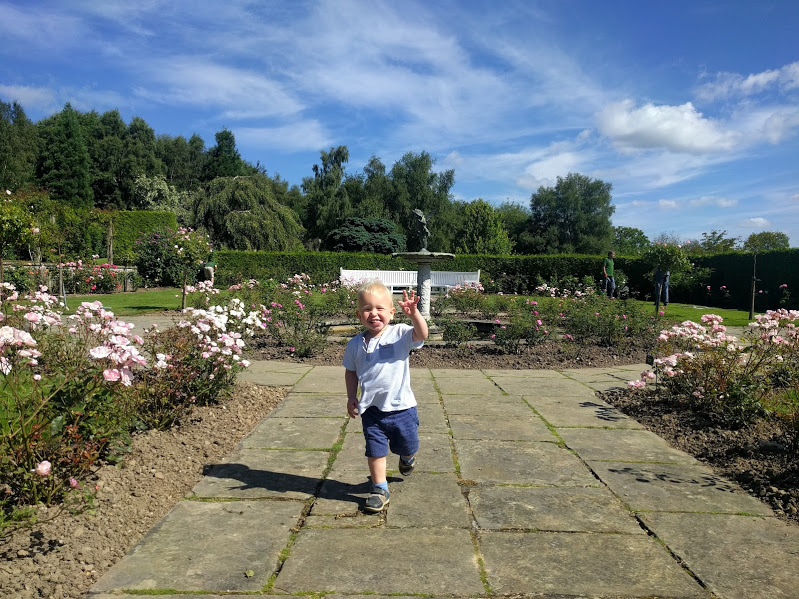 Max running through the rose garden with fountain behind and blue skies