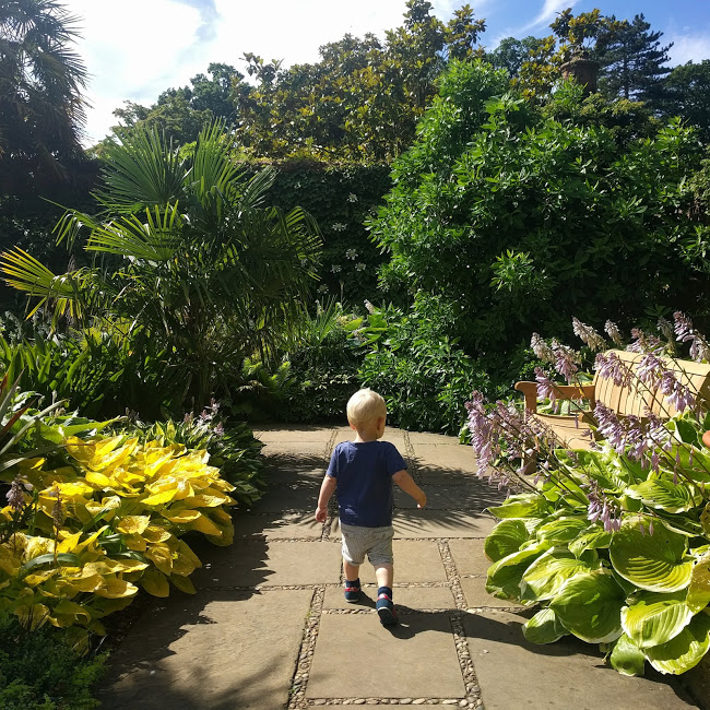 Max walking along path surrounded by plants