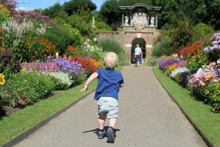 Max running down herbaceous border full of colour