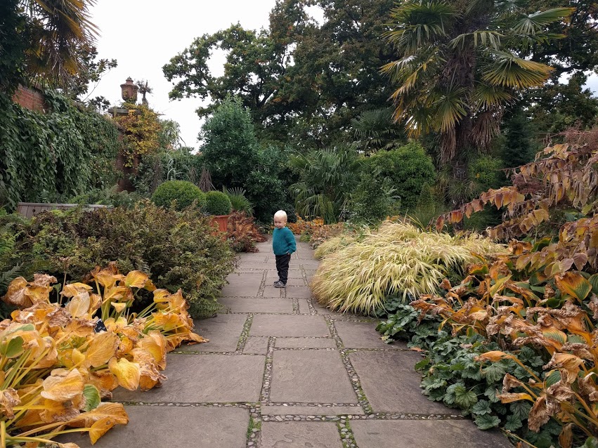 Max ahead on path, surrounded by yellow and green plants, like a jungle