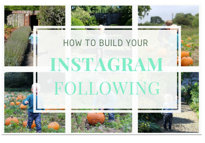 How to build your Instagram following
