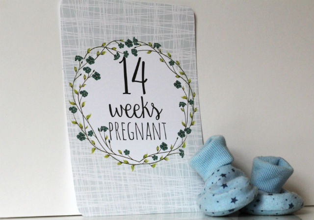 Card reading 14 weeks pregnant with baby booties alongside