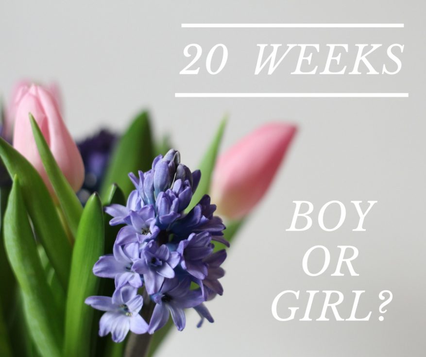 20 weeks pregnant