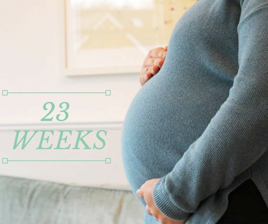 23 weeks pregnant bump shot