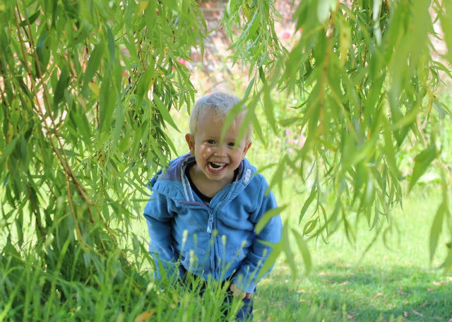 Max peeking through willow tree at The Medicine Garden
