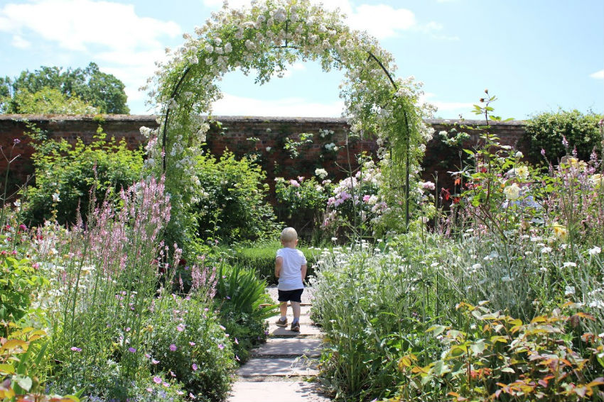 Max walking under rose covered archway at Mottisfont