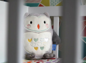Ollie the Owl from The Gro Company