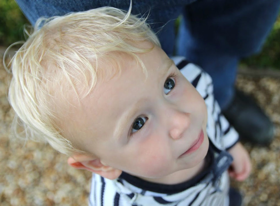 Max looking up at camera