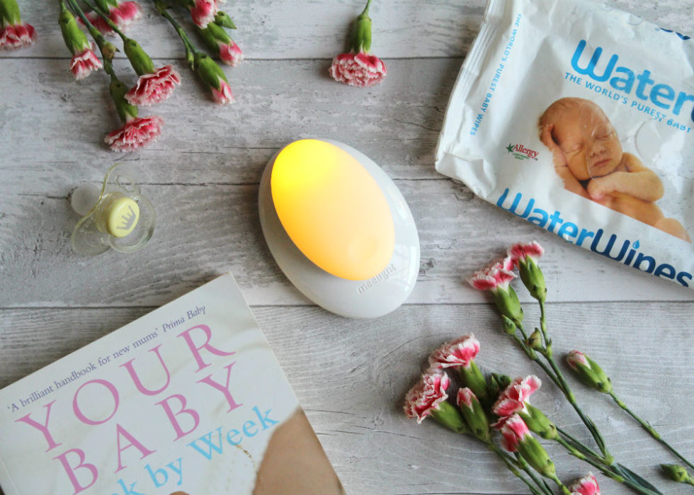 Flatlay with Meemoobaby Meelight, WaterWipes, dummy and carnations