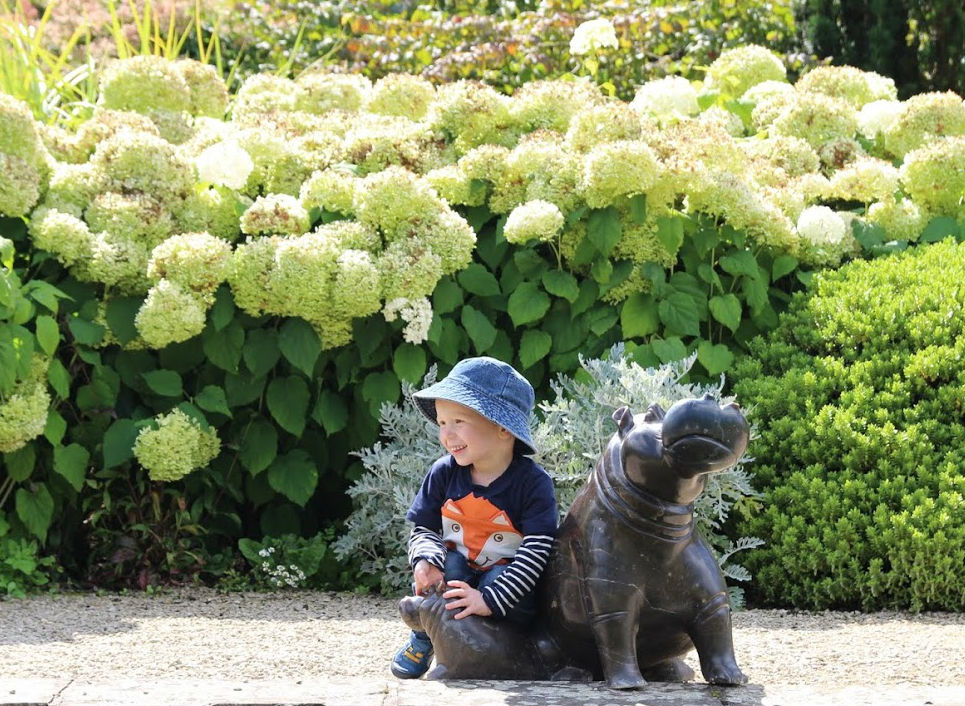 Max kneeling by hippo sculpture with white hydrangeas behind