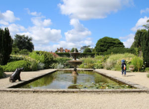 Max running around the edge of the pond in the White Garden at Loseley Park