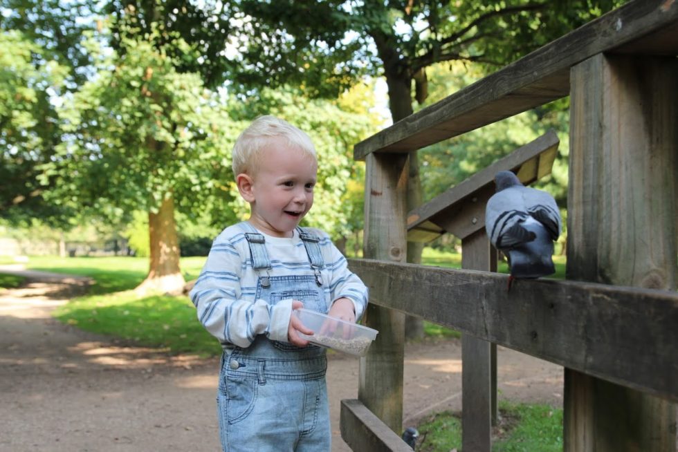 Max standing next to wooden bridge holding tub of bird food, with pigeon next to him