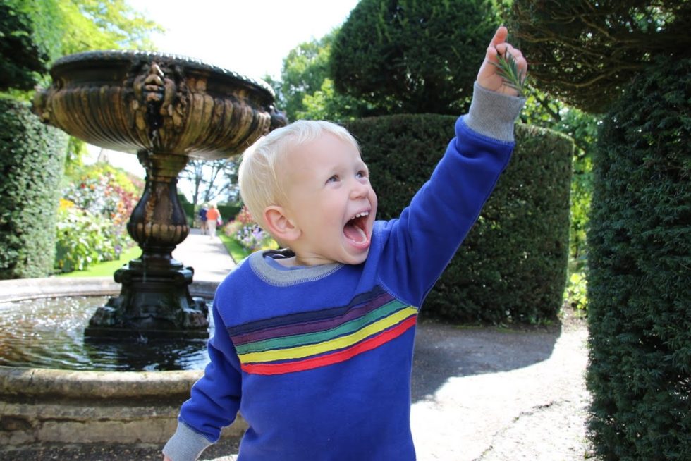 Max dressed in blue jumper with rainbow stripes across the front, holding up piece of Christmas tree, with a huge smile on his face