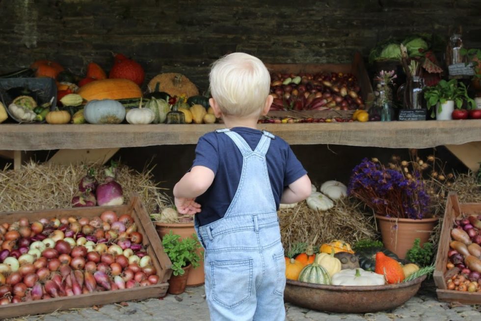 Max standing with his back to the camera, looking at a display of autumn harvest vegetables