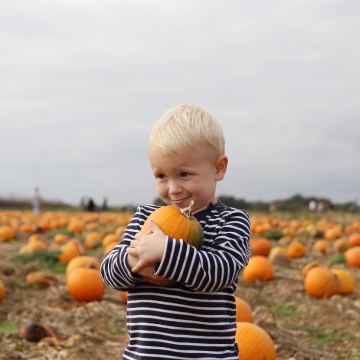 Max standing in a field of pumpkins, clutching his small pumpkin to his chest, smiling
