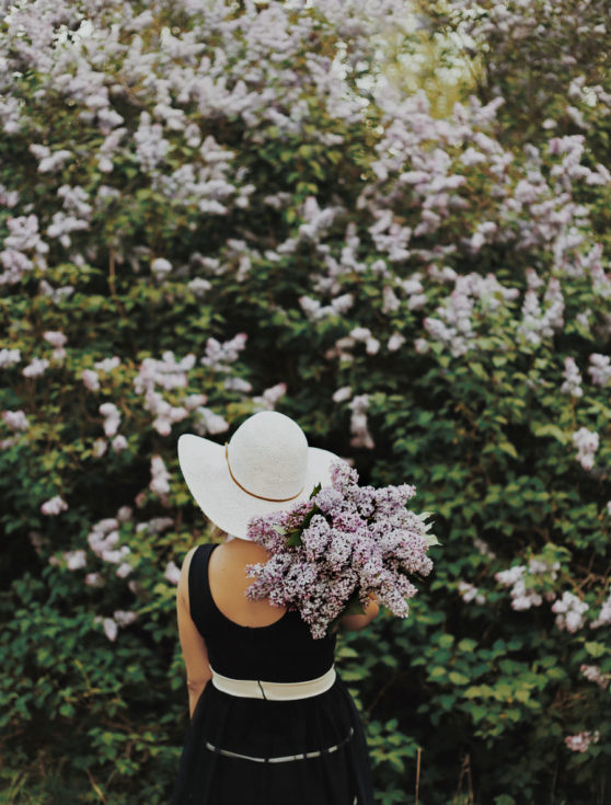 how to plan a fragrant garden