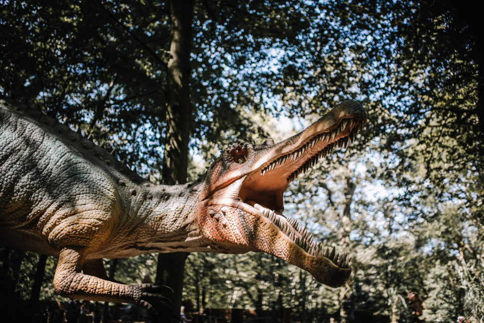 Huge dinosaur figure at Paradise Wildlife Park