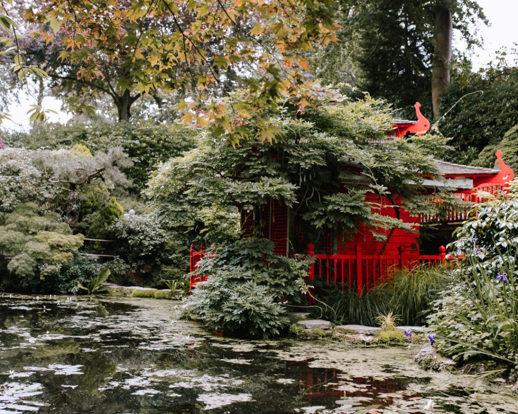 Red tea house in the Japanese garden at Compton Acres. The house is covered in wisteria (not in bloom) and overlooks a pond with lillies