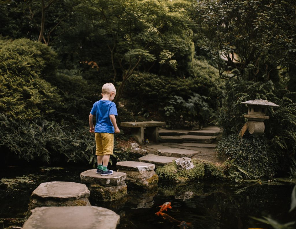 Little boy standing on stepping stones across a pond in a Japanese garden. Orange koi carp can be seen swimming in the pond below