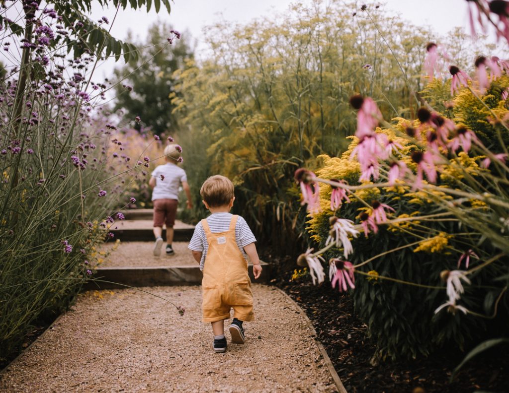 Little boy dressed in yellow dungarees walks away from the camera up a gravel path. The path is surrounded by flowers - pink echinacea, purple verbena, and yellow flowers. His older brother is ahead of him, leading the way